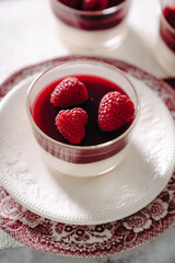 dessert with strawberries fresh mousse pannacotta berry jelly monochrome photo red and white photo...