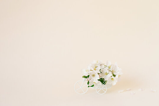 A bicycle toy with white flowers on a beige background. The concept of celebration, banner. Copy space. The concept of the beginning of spring and the holiday