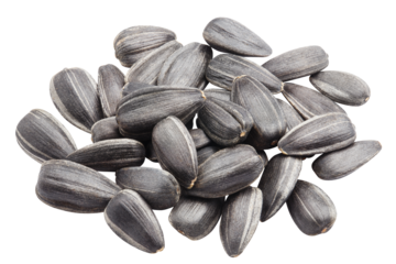 Delicious sunflower seeds cut out