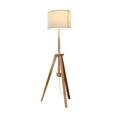 Floor lamp in retro style, isolated on a white background, isolated on a white background. Vintage...