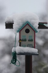 Nice small birdhouse under snow