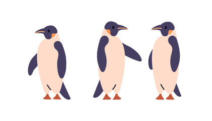 Emperor penguins, Antarctic birds characters. South polar winged animals set. Arctic mammals standing in different positions. Flat vector illustrations isolated on white background © Good Studio