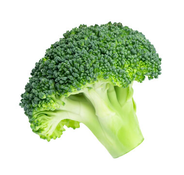 Fresh broccoli isolated on transparent background. Png format	
