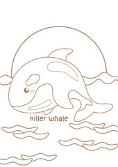 Alphabet K For Killer Whale Vocabulary Coloring Pages A4 for Kids and Adult