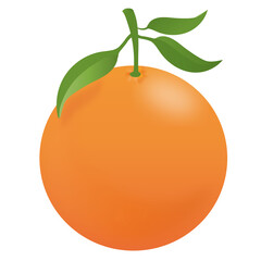 Orange Fruit