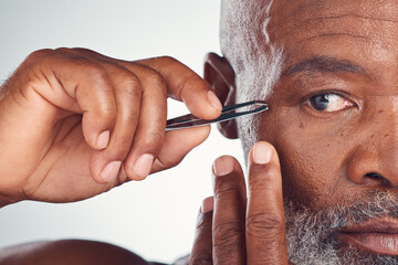 Grooming, zoom and black man with a tweezers for hair removal isolated on a studio background....