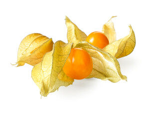 Physalis_Freisteller_04