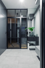 Minimalist hall interior design with glass door. Modern home interior design with elegant details. Template.