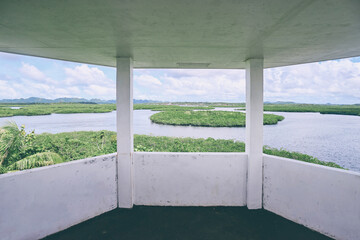 Fototapeta na wymiar Beautiful terrace view of green mangroves sea lagoon, National Park, Siargao Island, Philippines.