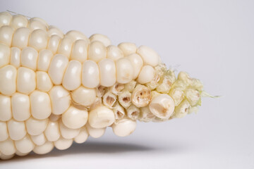 Pearl White Corn top part close up in isolated white background