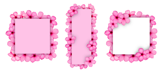 Flowers composition. Frame made of impala Lily flowers Isolated on PNG transparent background. Creative layout with flowers and copy space card note. Flat lay. top view. Nature concept. 