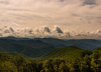 landscape in the morning