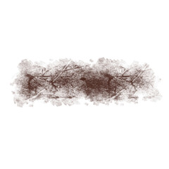 Fototapeta premium Grunge Brush