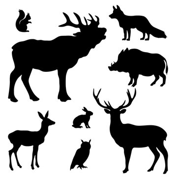 Forest wildlife animal vector illustration set collection - Black silhouette of animals, isolated on white background