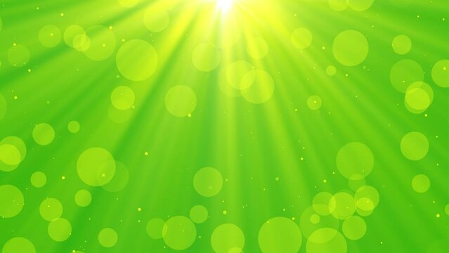 Green spring background with bright sunrays. Dreamy bokeh, magic glitter. Loop. 29,97fps