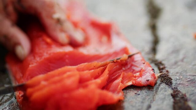 Cutting, cleaning, and gutting a wild salmon with a knife. An indigenous first nations woman processing a salmon with traditional methods after fishing on a river.
