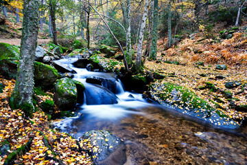 Arroyo del Sestil de Maillo