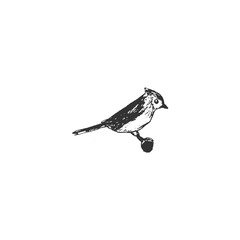 Obraz premium Small cute bird sketch illustration isolated on white background