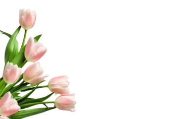 Zelfklevend Fotobehang tulips on transparent background © gilles lougassi