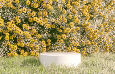 Fototapeta na wymiar Natural beauty podium backdrop with spring flower field.