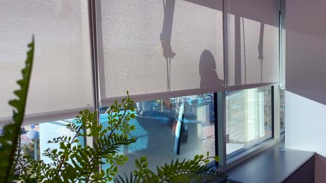 Limpiador de ventanas