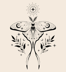 Mystic moth isolated vector illustration. Magic moon, occult, print, tattoo, poster. - obrazy, fototapety, plakaty