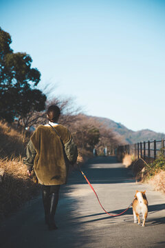 犬の散歩をする若い女性