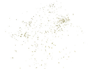 oregano spice isolated png