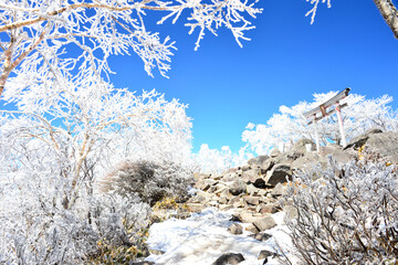 霧氷が美しい冬の群馬県赤城山