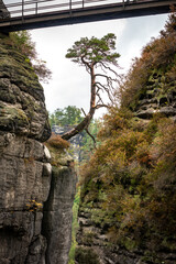 Panoramic birdview over monumental Bastei sandstone pillars near Kurort Rathen village in the national park Saxon Switzerland by Dresden and Elbe river, Saxony, Germany