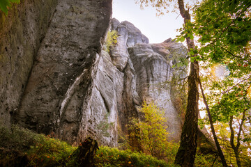 Panoramic birdview over monumental Bastei sandstone pillars near Kurort Rathen village in the national park Saxon Switzerland by Dresden and Elbe river, Saxony, Germany