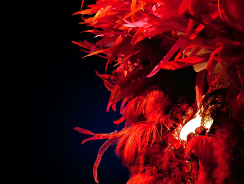 Fashion Haute couture  by Thierry Mugler. Feather hats, rhinestone and stone jewelry