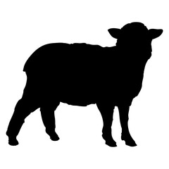 Logo de restaurante y granja de carne de cordero. Silueta aislada de oveja para industria cárnica