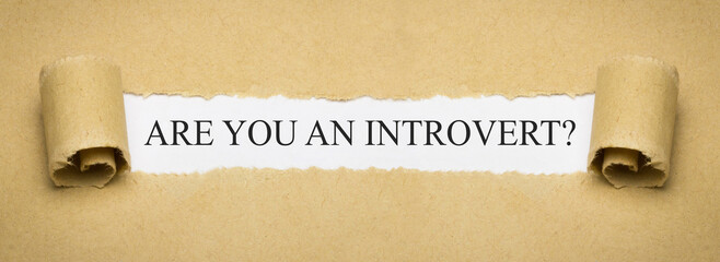 are you an introvert?