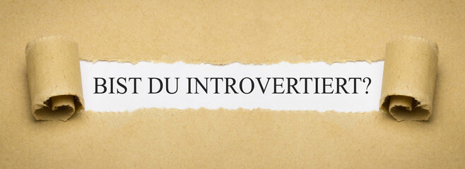 Bist du introvertiert?
