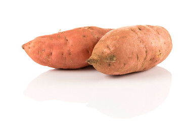 Sweet potato on the white background