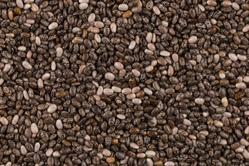 Chia seeds closeup