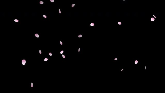 舞い散る桜の花びらアニメーション素材
合成素材・桜の花びらパーティクル・背景透過素材