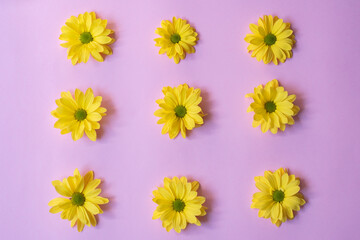 Square composition of nine yellow daisies.