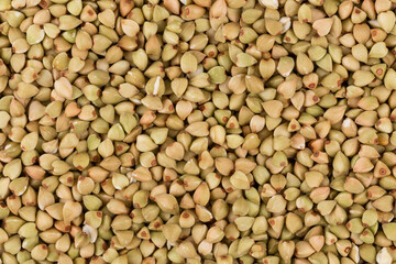 organic bio buckwheat