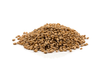 Wheat grain on white