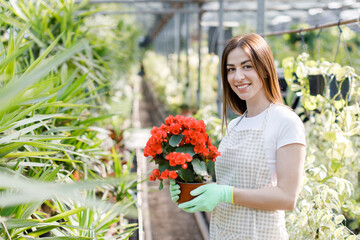 Woman holds a pot of flowers in her hands, growing plants for sale, plant as a gift, flowers in a greenhouse, potted plant.