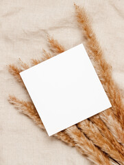 Blank paper sheet mockup card on reed or pampas grass on linen beige cloth. Paper card with copy...