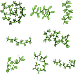 Floral Line Art Flowers and Leaves Doodle Illustrations in Vector