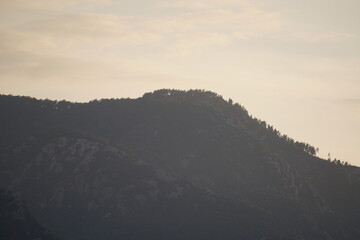 Mountains with trees at sunset in Cirali in Turkey