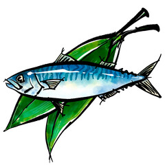 ハランに乗った真鯖（マサバ）の手書きイラスト（筆書き水彩墨絵風）