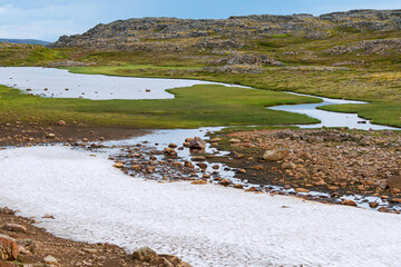 Global warming melting snow in to flow river - green grass