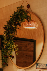 mirror decoration with plants
