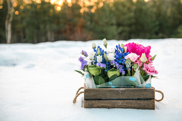 Bright and colorful bouquet of fresh spring flowers: pink tulips, blue hyacinthes, white eustomas in wooden box on white snow outdoors at golden hour.