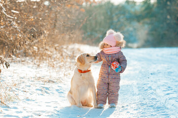 little girl and golden retriever looking on a dog in winter forest